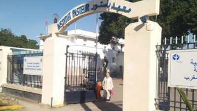 معهد باستور المغربinstitut pasteur | MCG24 | موقع إلكتروني مغربي شامل متجدد على مدار الساعة معهد باستور المغرب