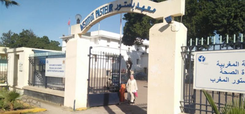 معهد باستور المغربinstitut pasteur | MCG24 | موقع إلكتروني مغربي شامل متجدد على مدار الساعة معهد باستور المغرب