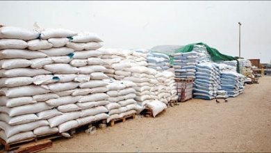 الشعير المدعم لمربي الماشية | MCG24 | موقع إلكتروني مغربي شامل متجدد على مدار الساعة توزيع 2,5 مليون قنطار من الشعير المدعم لمربي الماشية في المناطق المتضررة من قلة التساقطات المطرية