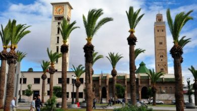 وجدة