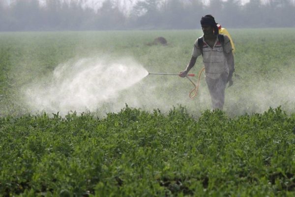 المبيدات الزراعية pesticides-2-jpg | MCG24 | موقع إلكتروني مغربي شامل متجدد على مدار الساعة المبيدات الزراعية