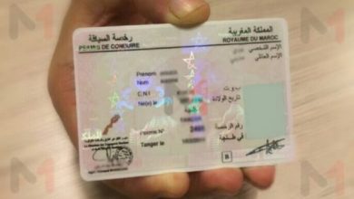 البطائق الرمادية ورخص السياقة
