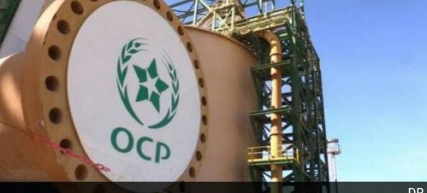 OCP اليوسفية .. فتح باب الترشيح للاستفادة من تمويل مشاريع مدرة للدخل | MCG24 | موقع إلكتروني مغربي شامل متجدد على مدار الساعة اليوسفية .. فتح باب الترشيح للاستفادة من تمويل مشاريع مدرة للدخل