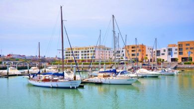 إطلاق خدمة عبر الخط لوضع وتتبع طلبات تسجيل السفن والدراجات المائية