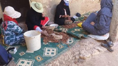النساء العاملات في قطاع الأرگان يستفدن من التغطية الصحية