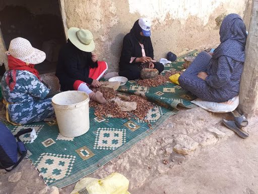 النساء العاملات في قطاع الأرگان يستفدن من التغطية الصحية