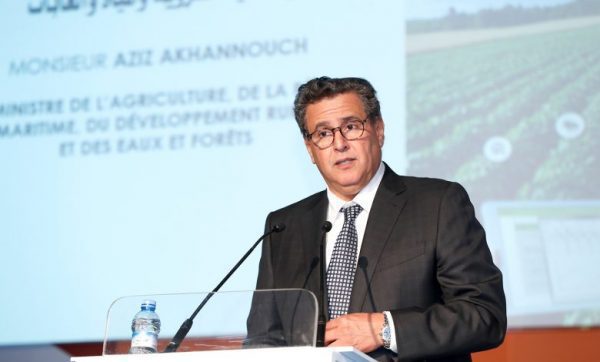 أخنوش: برنامج المزروعات الربيعية والصيفية مكن من تحقيق تموين كامل بجميع المنتوجات الفلاحية