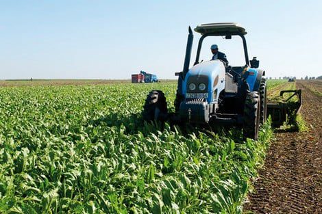 Agriculture_morocco_758440624 | MCG24 | موقع إلكتروني مغربي شامل متجدد على مدار الساعة