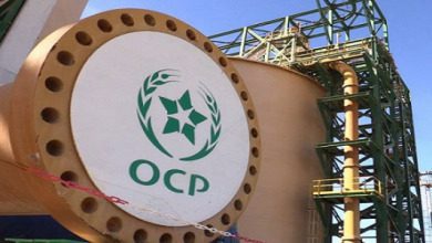 ocp المكتب الشريف للفوسفاط | MCG24 | موقع إلكتروني مغربي شامل متجدد على مدار الساعة المكتب الشريف للفوسفاط