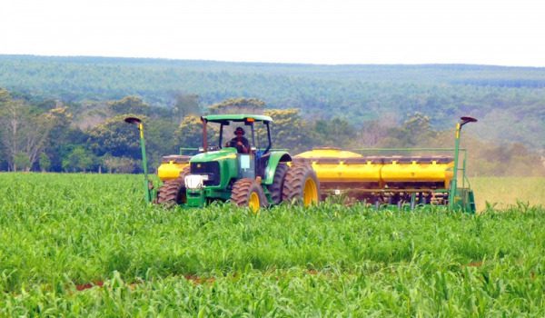 agriculture | MCG24 | موقع إلكتروني مغربي شامل متجدد على مدار الساعة