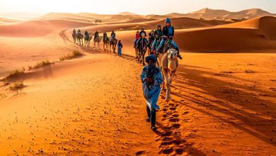 carvan-walking-merzouga- (1) | MCG24 | موقع إلكتروني مغربي شامل متجدد على مدار الساعة