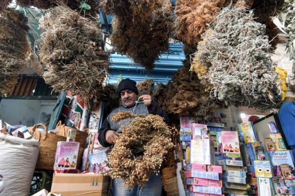 التداوي بالأعشاب الطبية في الثقافة الحسانية | MCG24 | موقع إلكتروني مغربي شامل متجدد على مدار الساعة التداوي بالأعشاب الطبية في الثقافة الحسانية