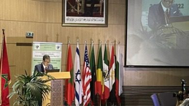 القنب الهندي والاستعمالات الطبية.. نحو ممارسة طبية وبحثية