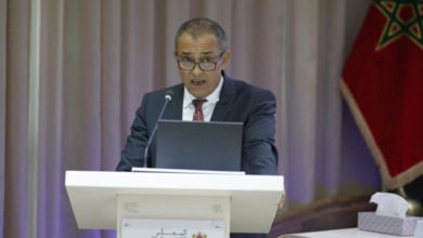 أحمد رضا الشامي المجلس الاقتصادي والاجتماعي والبيئي