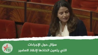 سؤال حول الإجراءات التي يتعين اتخاذها لإنقاذ لاسامير | MCG24 | موقع إلكتروني مغربي شامل متجدد على مدار الساعة سؤال حول الإجراءات التي يتعين اتخاذها لإنقاذ لاسامير