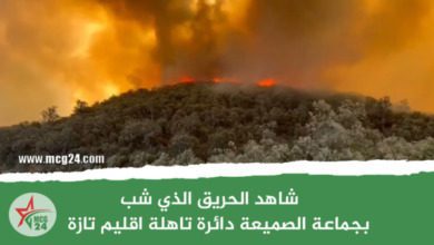 شاهد الحريق الذي شب بجماعة الصميعة دائرة تاهلة اقليم تازة