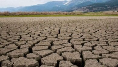 الجفاف-water-crisis | MCG24 | موقع إلكتروني مغربي شامل متجدد على مدار الساعة الجفاف