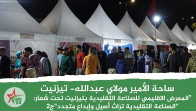 المعرض الاقليمي للصناعة التقليدية بتيزنيت تحت شعار “الصناعة التقليدية تراث أصيل وإبداع متجدد”‎‎