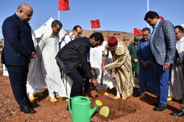 تيزنيت.. زراعة 120 هكتارا بالصبار المقاوم للحشرة القرمزية