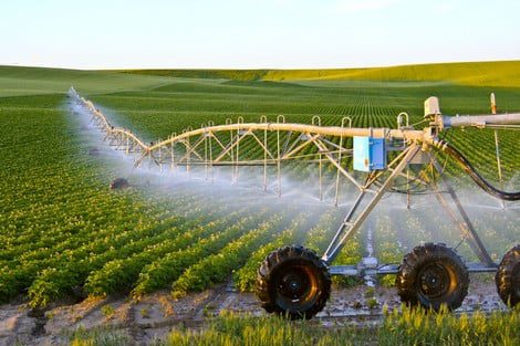 maroc_agricole_114195556 | MCG24 | موقع إلكتروني مغربي شامل متجدد على مدار الساعة