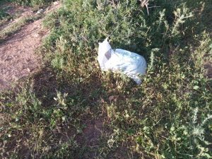 White plastic trash bag tangled in dry shrubs on a hillside.