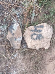 WhatsApp Image 2026-04-20 at 093521 | MCG24 | موقع إلكتروني مغربي شامل متجدد على مدار الساعة Two irregular rocks on bare, dusty soil with dry grasses and small plants around them; the right rock has dark paint marks on its surface.