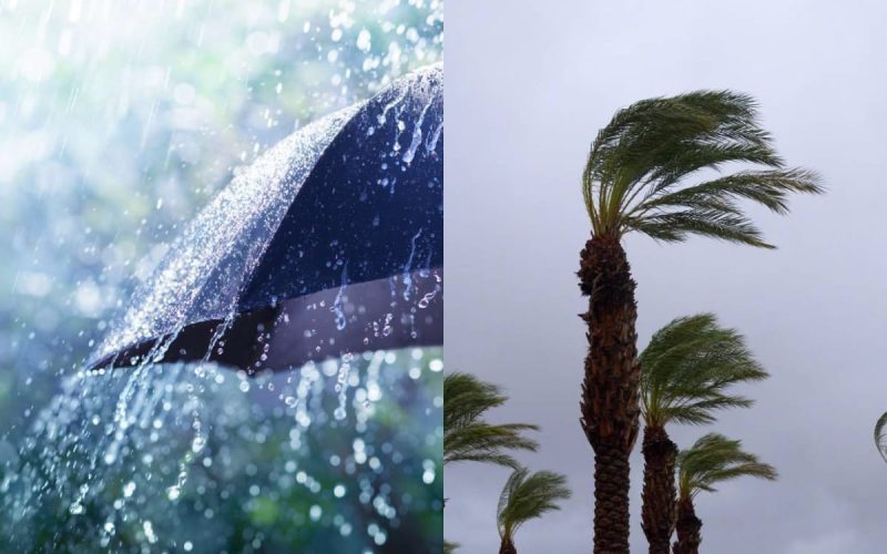 WhatsApp Image 2026-04-23 at 132445 | MCG24 | موقع إلكتروني مغربي شامل متجدد على مدار الساعة Split image: left shows rain splashing on an umbrella; right shows palm trees bending in strong wind.