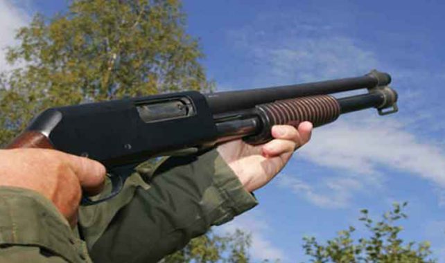 601491b2d354f-642x380 | MCG24 | موقع إلكتروني مغربي شامل متجدد على مدار الساعة Person holding a pump-action shotgun, aiming outdoors with blue sky and trees in the background.