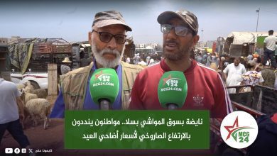 Two men hold green MCG24 microphones for a news interview in a crowded outdoor livestock market, with sheep and stalls in the background and an Arabic headline overlay about rising Eid al-Adha prices.