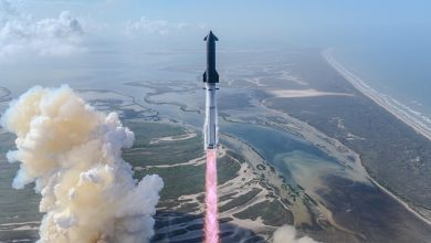 Rocket launches upright from coast, pink exhaust plume rising over marshlands and sea.