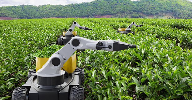 Autonomous farming robot with robotic arms tending a lush crop field in a wide open field.