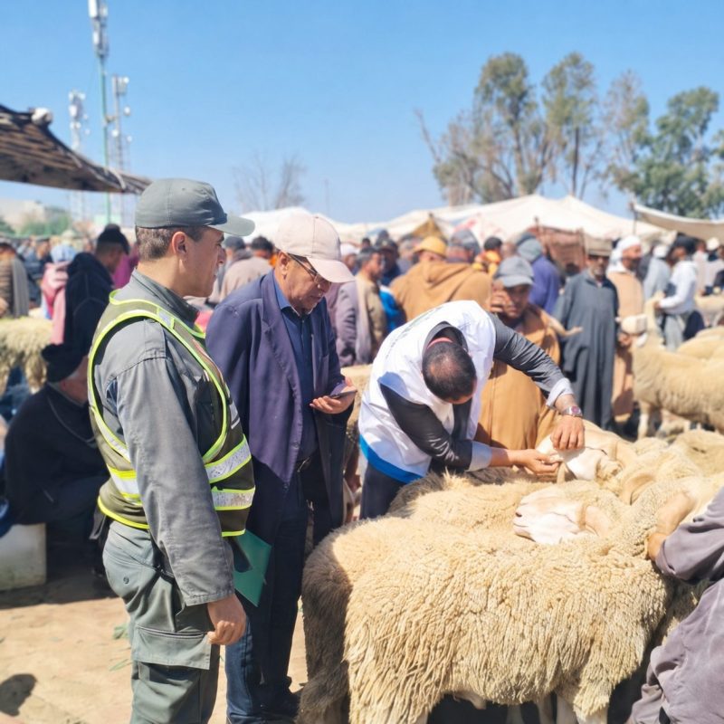 Security officer in a reflective vest watches a crowded outdoor sheep market where a man inspects a sheep's wool.