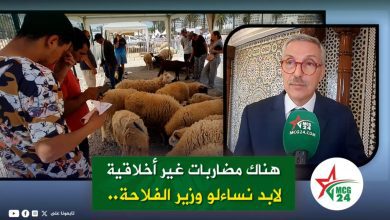 News split-screen: crowd at a sheep market on the left and a man in a suit speaking into a green microphone on the right.
