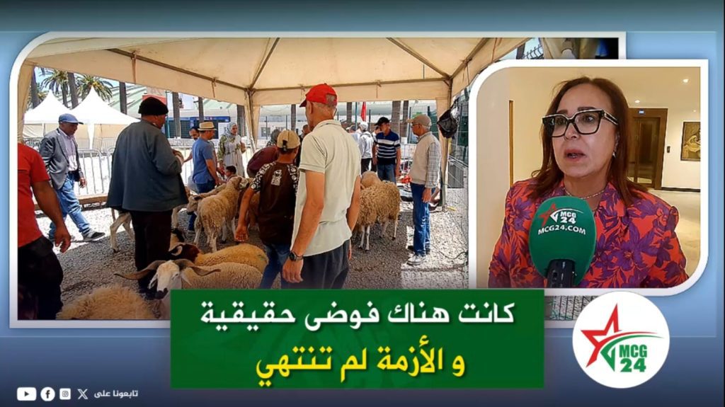 التامني عن عيد الأضحى : أزمة المواطنين الأضاحي لم تنته بعد News collage showing a crowded sheep market under a tent on the left and a woman with a green MCG24 microphone speaking in an interior on the right; green Arabic headline overlays front and center.