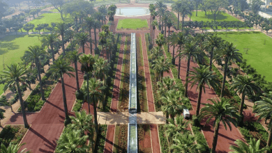 screenshot-2026-06-18-123636 | MCG24 | موقع إلكتروني مغربي شامل متجدد على مدار الساعة Aerial view of a formal park with red brick paths, tall palm trees, and a central long fountain leading to a circular pond.