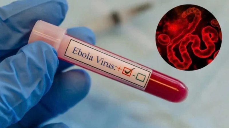 16694984 | MCG24 | موقع إلكتروني مغربي شامل متجدد على مدار الساعة Gloved hand holds a red sample tube labeled 'Ebola Virus' with a check mark and an inset illustration of the virus nearby.