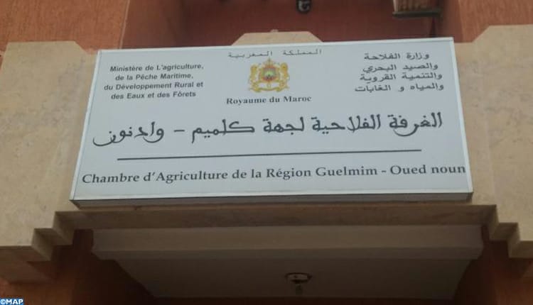 IMG-20260708-WA0316 | MCG24 | موقع إلكتروني مغربي شامل متجدد على مدار الساعة