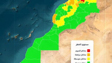 نشرة مخاطر حرائق الغابات الوكالة الوطنية للمياه والغابات | MCG24 | موقع إلكتروني مغربي شامل متجدد على مدار الساعة نشرة مخاطر حرائق الغابات الوكالة الوطنية للمياه والغابات