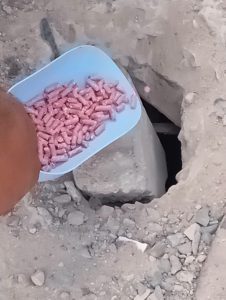 FB_IMG_1786015052995 | MCG24 | موقع إلكتروني مغربي شامل متجدد على مدار الساعة Image