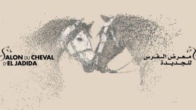 salonducheval | MCG24 | موقع إلكتروني مغربي شامل متجدد على مدار الساعة