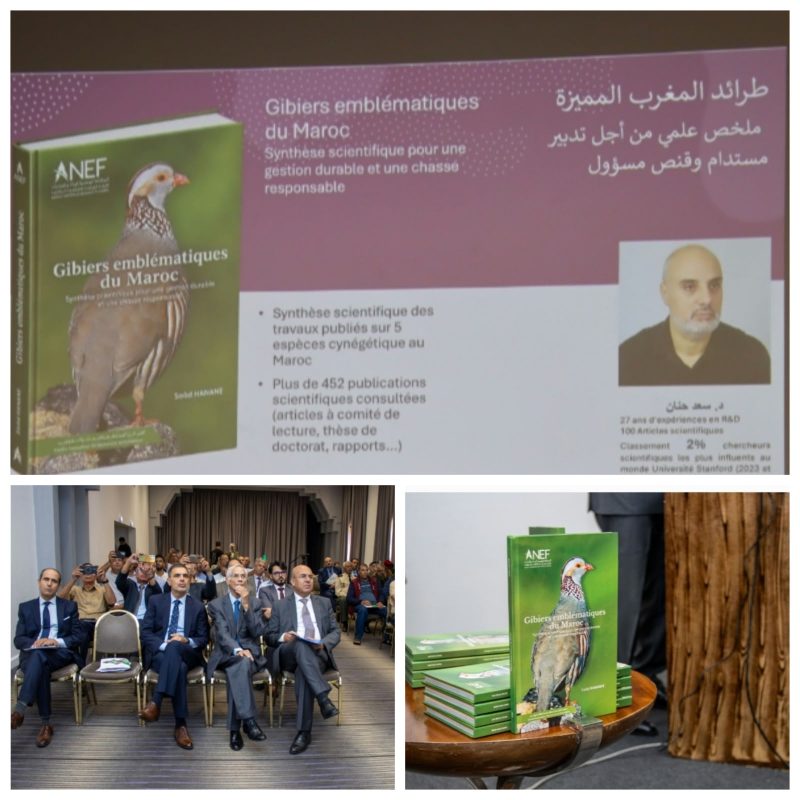 ANEF تعطي الانطلاقة الرسمية لموسم القنص الجديد 2026-2027 | MCG24 | موقع إلكتروني مغربي شامل متجدد على مدار الساعة ANEF تعطي الانطلاقة الرسمية لموسم القنص الجديد 2026-2027