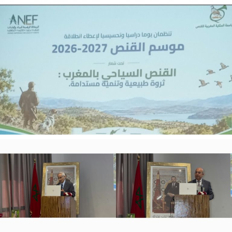 ANEF تعطي الانطلاقة الرسمية لموسم القنص الجديد 2026-2027 | MCG24 | موقع إلكتروني مغربي شامل متجدد على مدار الساعة الانطلاقة الرسمية لموسم القنص الجديد 2026-2027