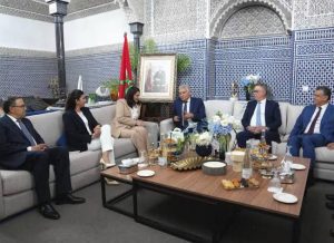 المنصوري تواصل مشاورات تشكيل الحكومة