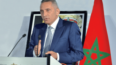 مولاي حفيظ العلمي