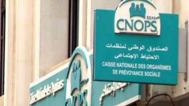 الصندوق الوطني لمنظمات الاحتياط الاجتماعي