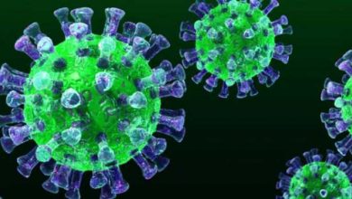 فيروس كورونا