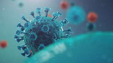 Outbreak of Chinese influenza - called a Coronavirus or 2019-nCoV, which has spread around the world. Danger of a pandemic, epidemic of humanity. Human cells, the virus infects cells. | MCG24 | موقع إلكتروني مغربي شامل متجدد على مدار الساعة Outbreak of Chinese influenza - called a Coronavirus or 2019-nCoV, which has spread around the world. Danger of a pandemic, epidemic of humanity. Human cells, the virus infects cells.