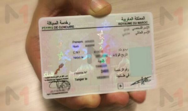 البطائق الرمادية ورخص السياقة