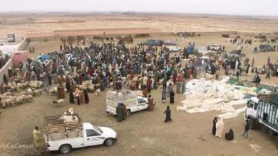 كلميم.. استئناف الأنشطة التجارية بالسوق الأسبوعي "أمحيريش"