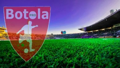 البطولة الوطنية الاحترافية